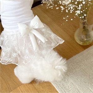 予約【pecoramou select】Roa Ribbon Net one piece