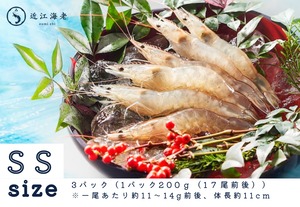 【SSサイズ】 近江海老（生食可、活〆急速冷凍）3パック　