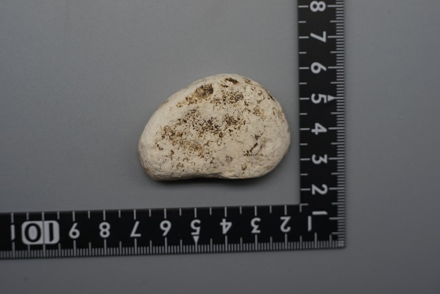 ロイヤルインペリアルジャスパー　Royal Imperial Jasper ⑩