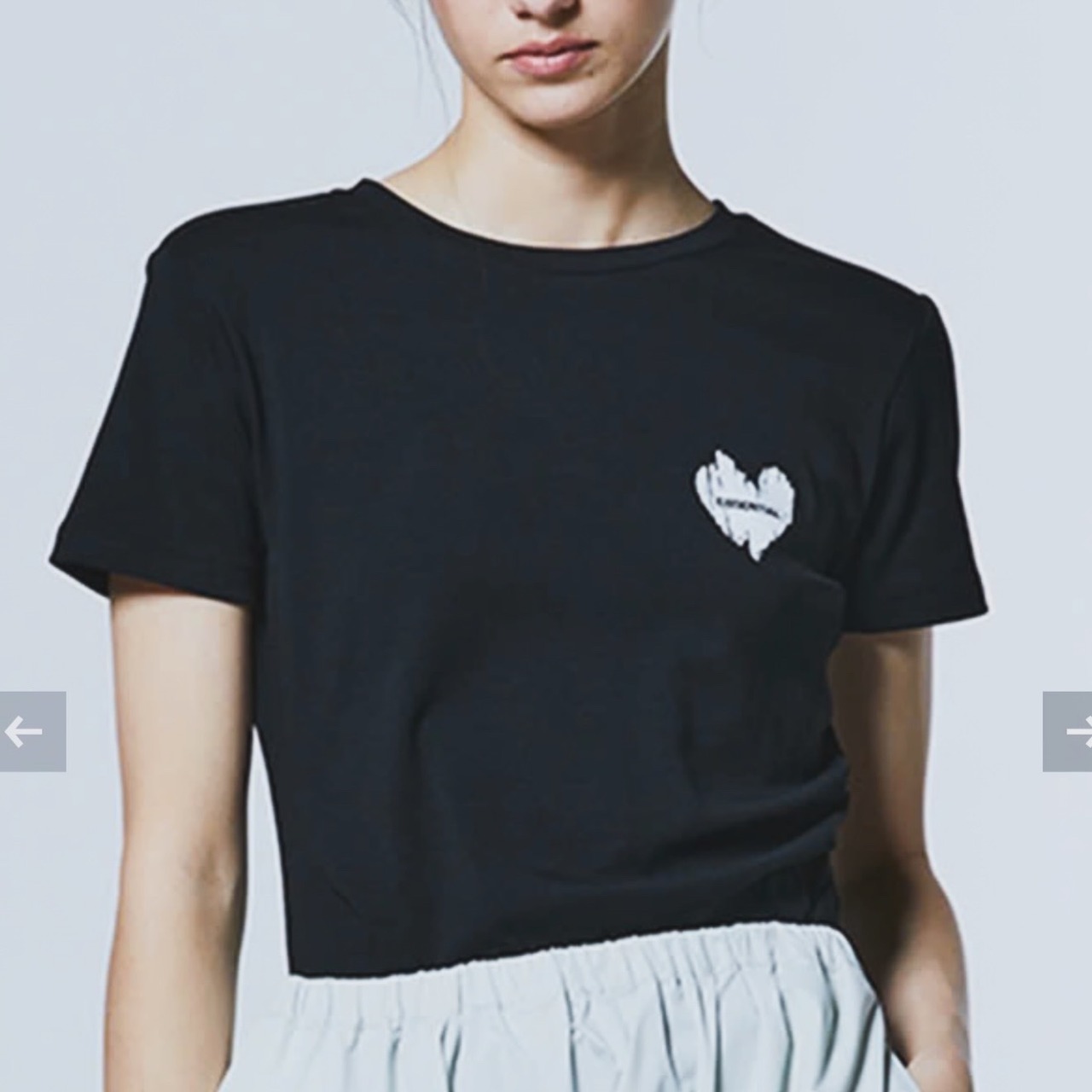 ダブルスタンダード DOUBLE STANDARD  essential綿モダールベアフライスTシャツ