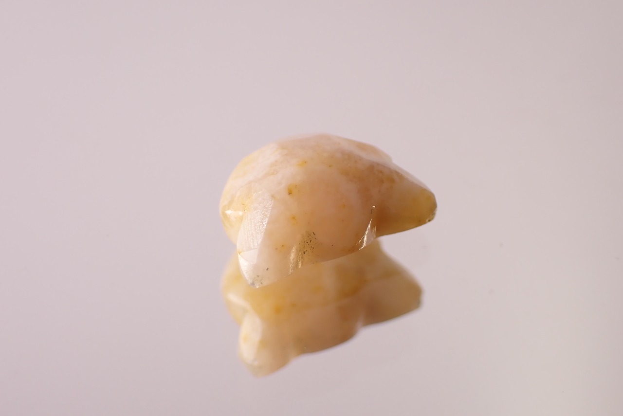 フォッシルコーラル(猫カット)　1.48ct　[D11‐578]