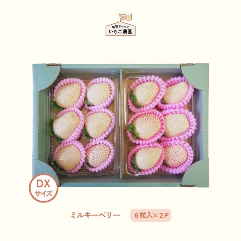 いちご | 猪野さんちのいちご農園｜産直通販「あるよ」応援プロジェクト