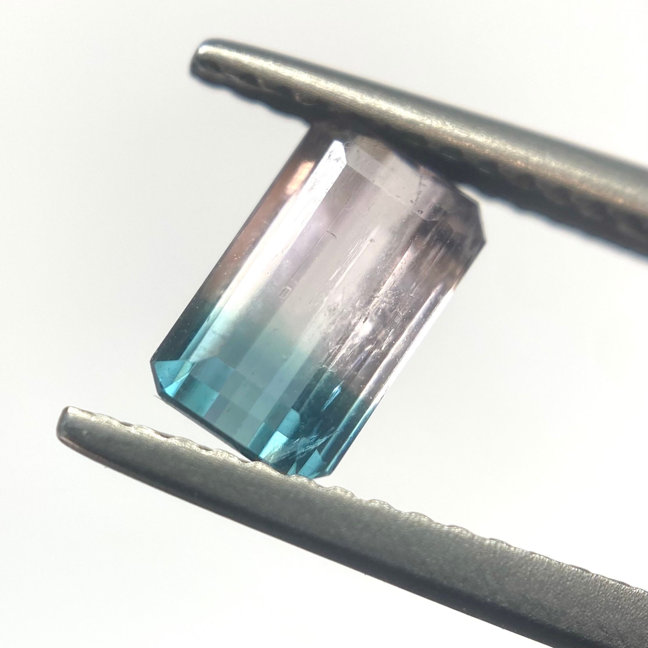 桜と海　トルマリン