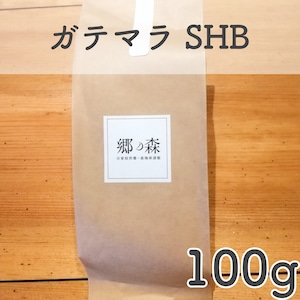 ガテマラ SHB 100g