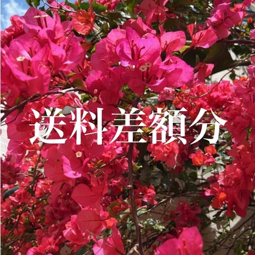 送料差額分調整用