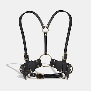 FLEET ILYA   classic harness