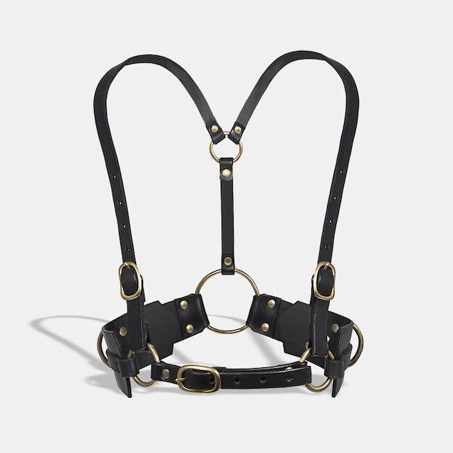 FLEET ILYA   classic harness