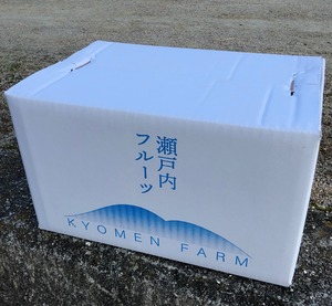 「京免文旦」（大橘）  6kg   お徳用    おいしさ格別！