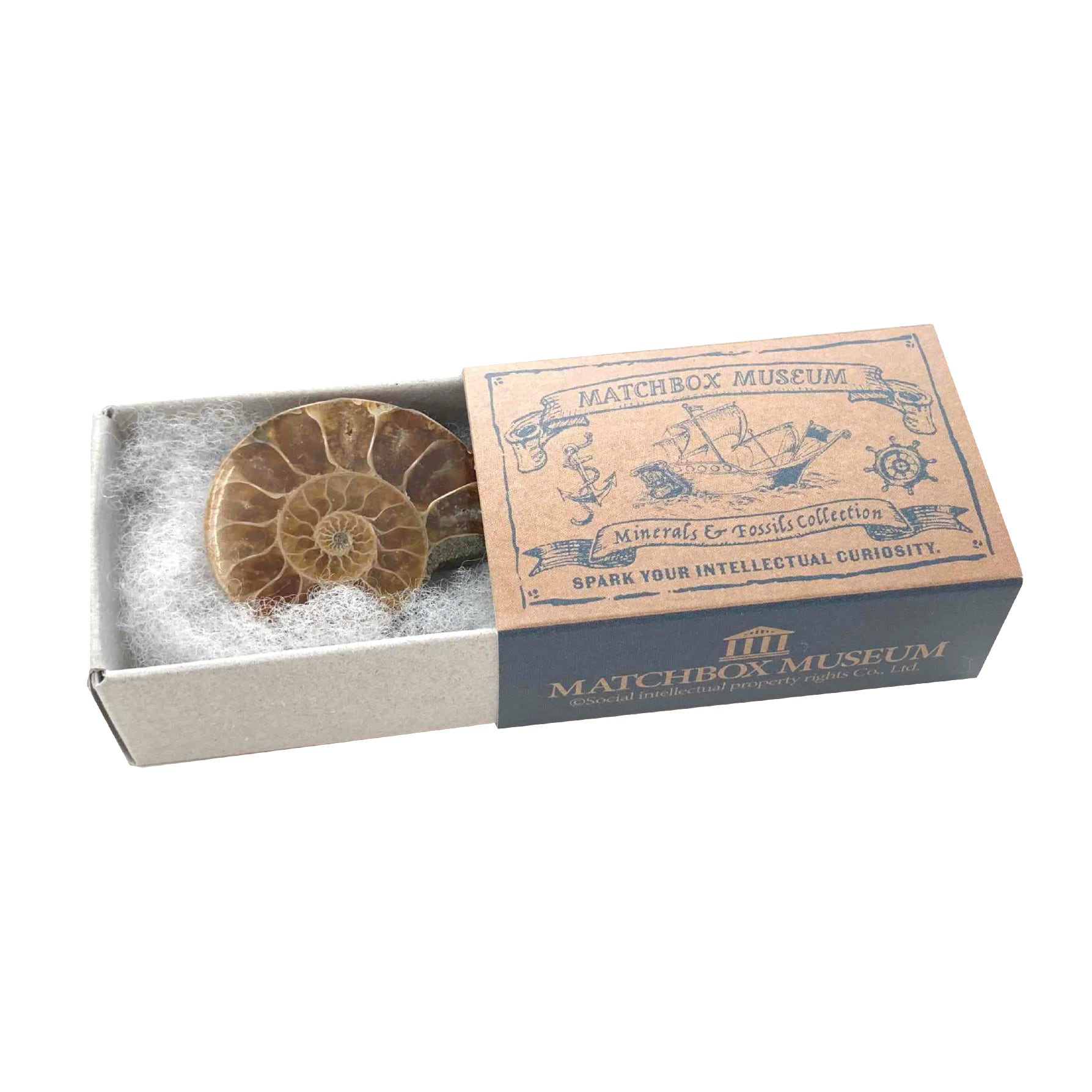 マッチ箱博物館 鉱物と化石のコレクション(3個入りセット)