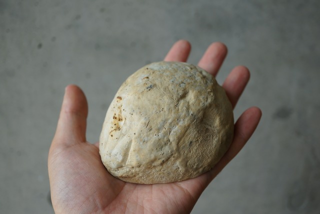 マダガスカル産セプタリアン Septarian 1395