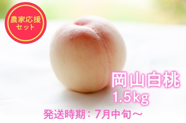【岡山白桃2026】品種おまかせ｜8月中旬～9月上旬発送