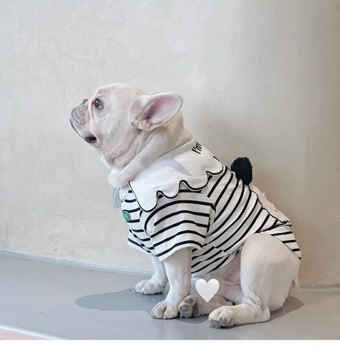 犬服 フレンチブルドッグ かわいい オシャレ パンタ模様 ボーダー