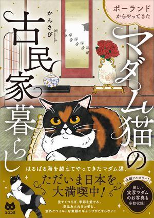 岩合光昭 写真集「ボンド 桃農家のねこ」 | 奈良の愛らしい猫のお店 猫