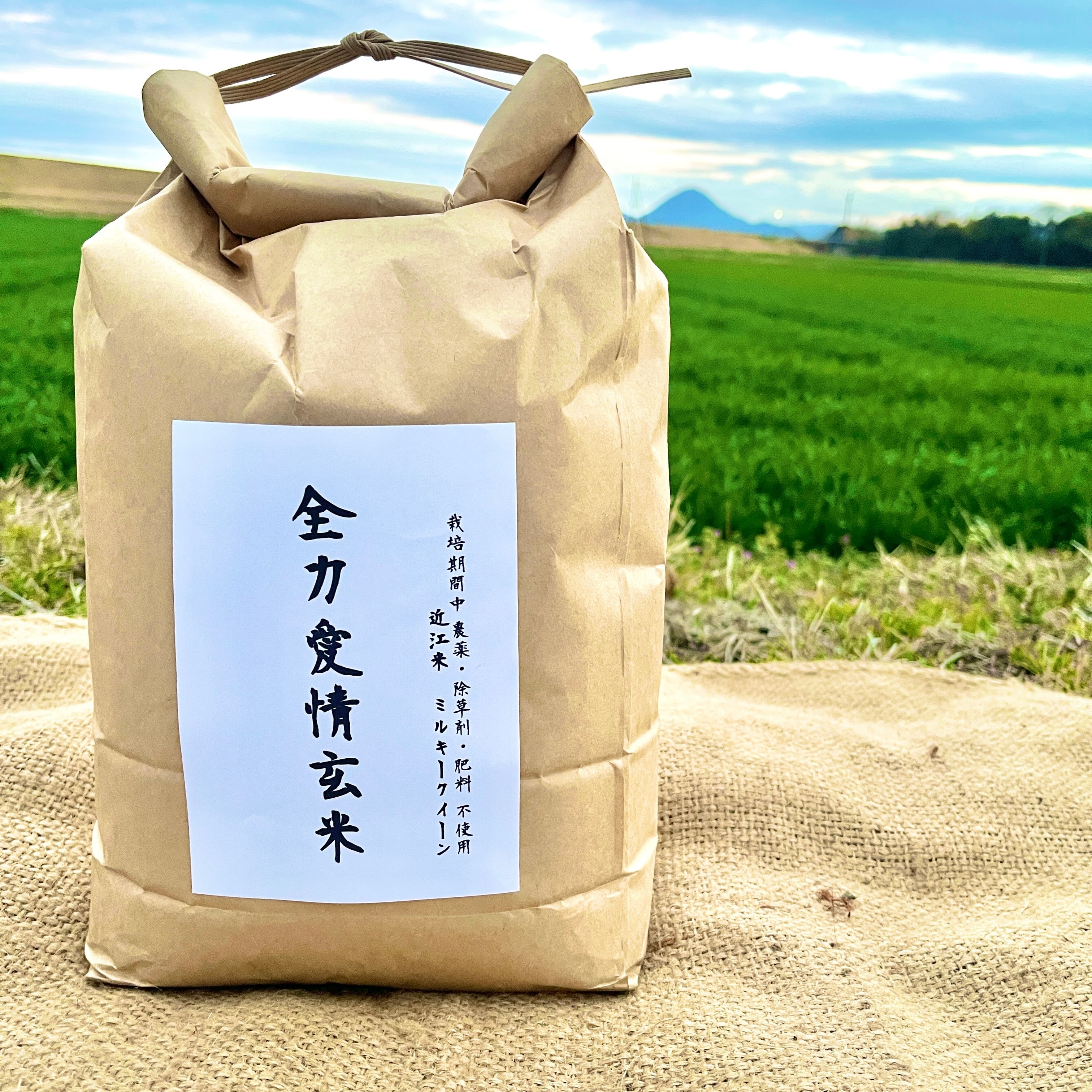 完売【備蓄用真空パック】 『神の米』（ 玄米 5kg 栽培期間中農薬不
