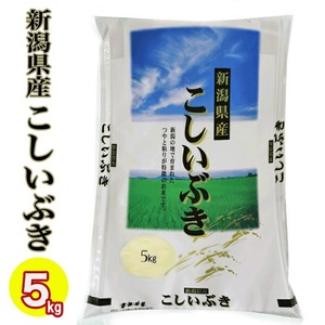 （新潟ブランド１等米) 令和6年産 新潟県産 こしいぶき 5kg 白米 精米 新潟 こしいぶき お米 新潟 お土産 お米 5キロ こしいぶき 精米日の新しい 新潟 米 産地直送米 低温倉庫管理