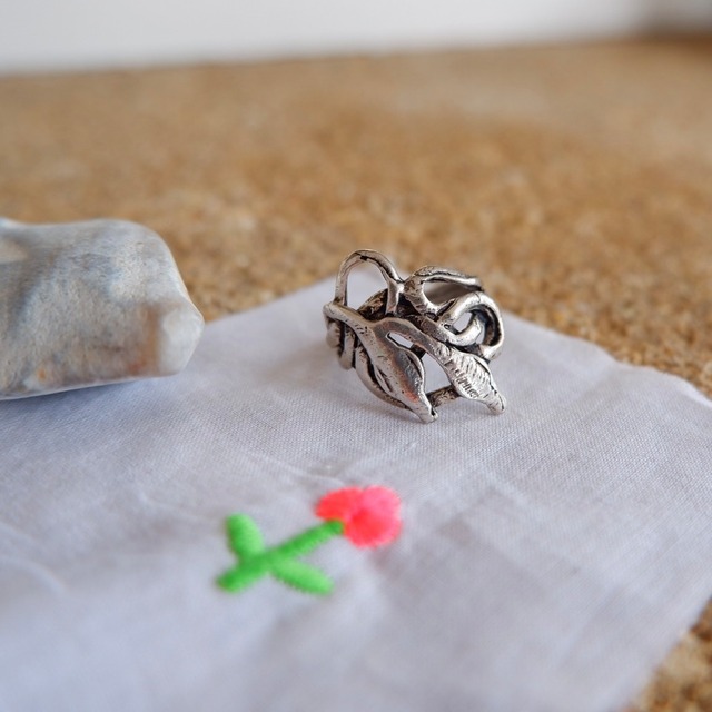 2羽の絆のリング (Zon-6)