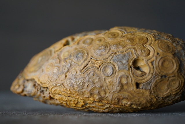 ゴビアゲート Gobi Agate 1129