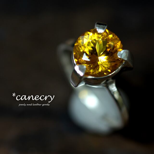 イモリストーンのリング