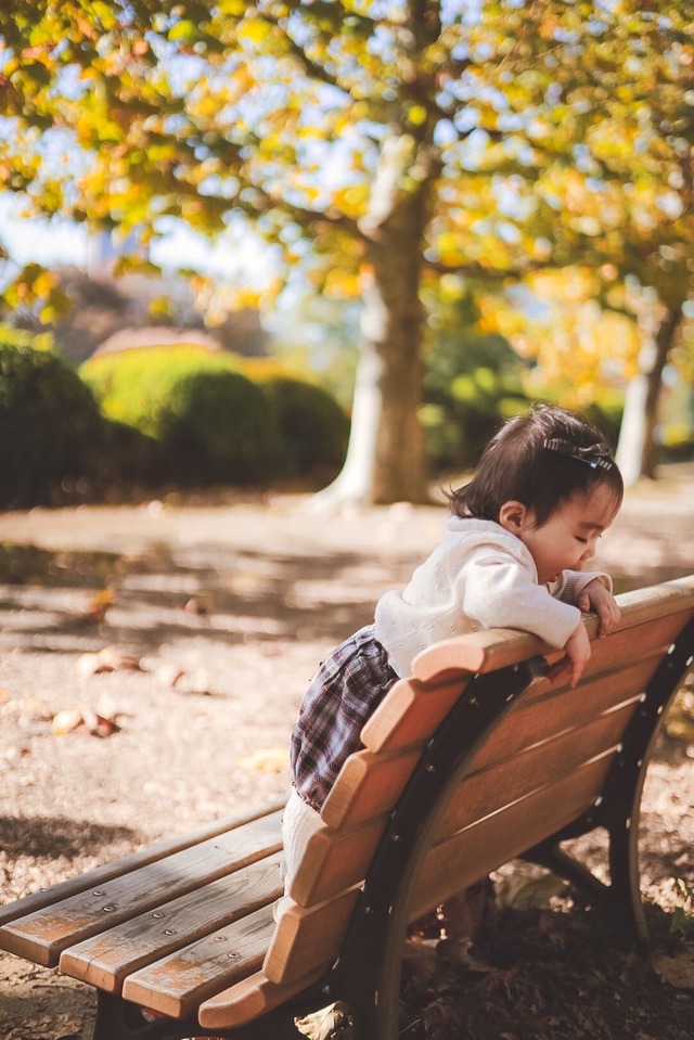 【取寄】クラシカルなタータンチェックブルマ