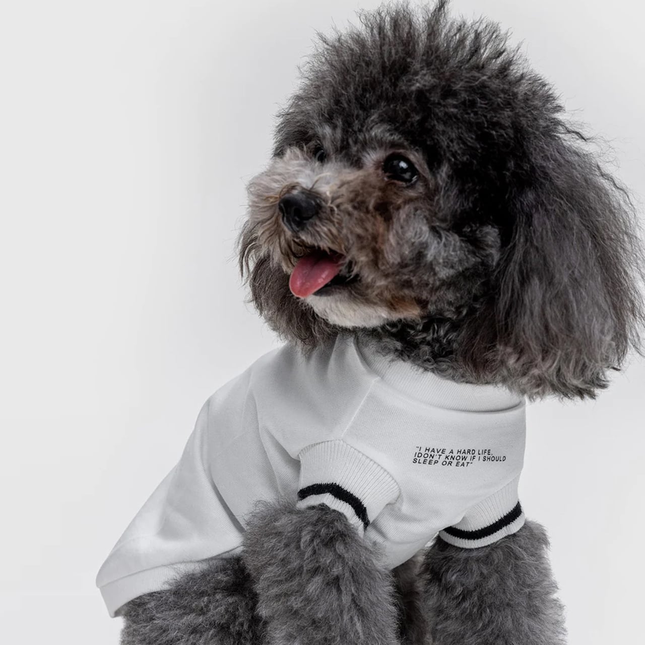 T-SHIRT WITH FUNNY SLOGAN / OVER GLAM