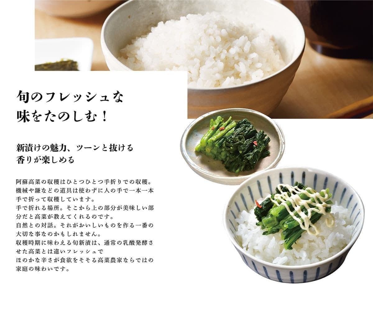 予約受付開始【クール便でお届け】2026年・阿蘇青たかな新漬250g×8袋