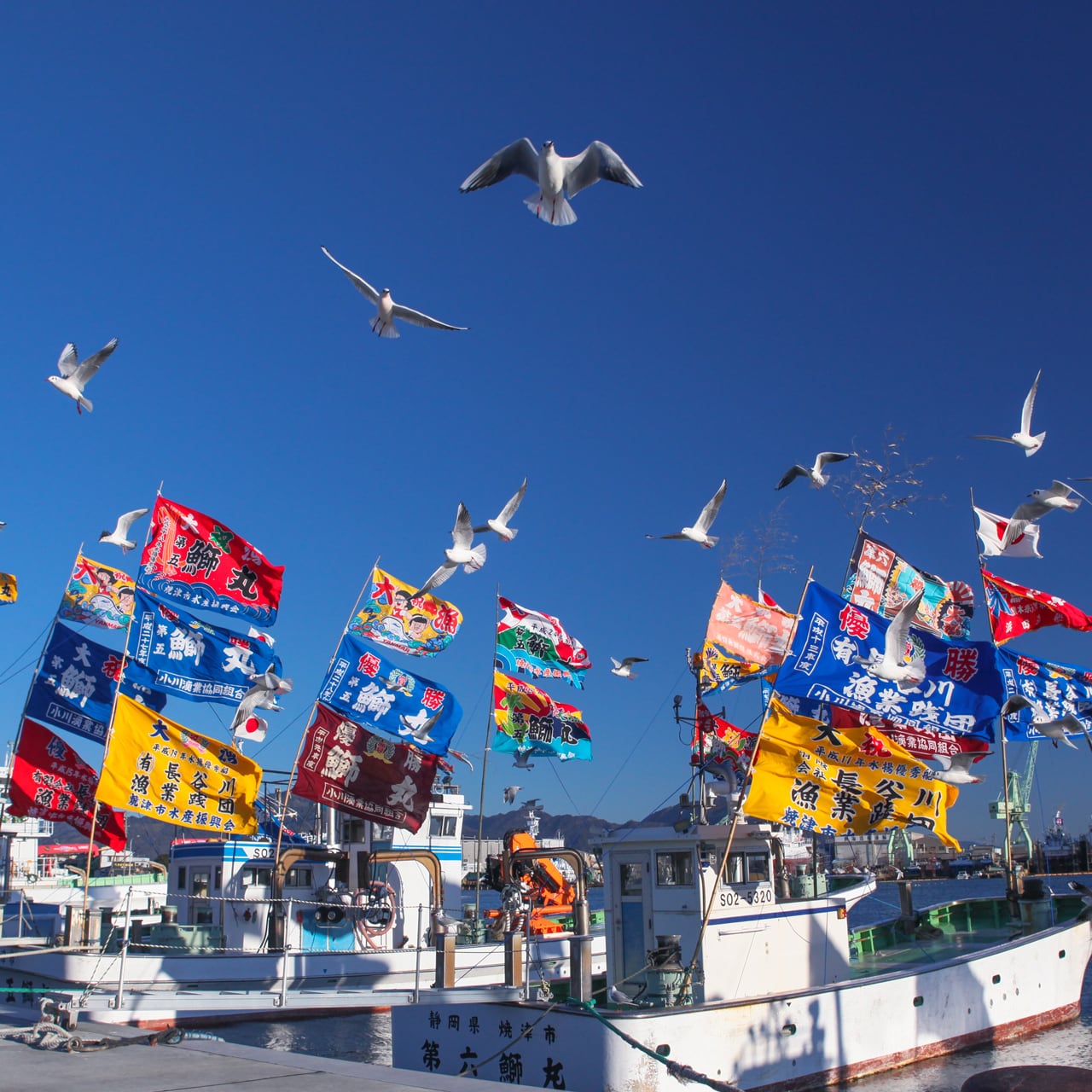 焼津市】やいづとくさんプラザ 焼津の魅力満載セット [Yaizu City