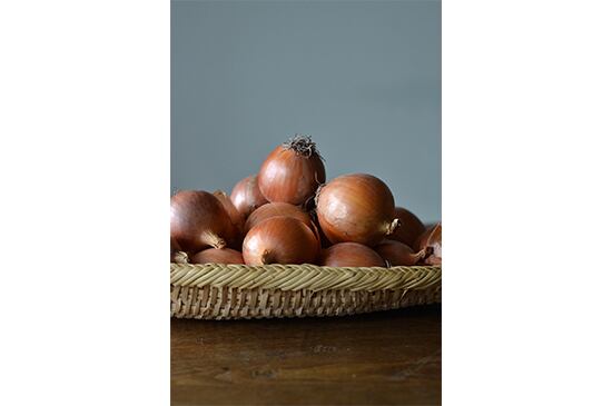 自然栽培玉ねぎ(北海道産)・1kg