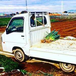 大量ストックに便利《10kg》葱華屋の泥付き"深谷葱"