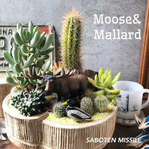 Moose& Mallard