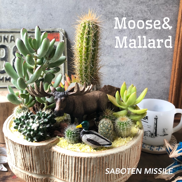 Moose& Mallard