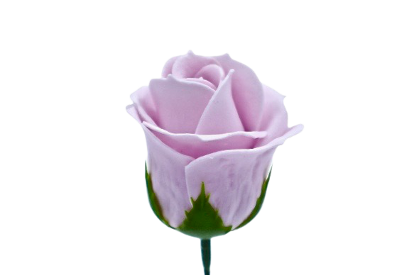 パステルバラT-PU1 薄紫 (15輪入りor25輪入り)