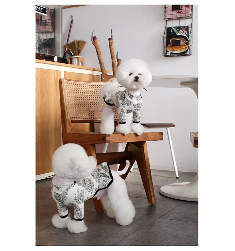 ブレンダワンピース S ~ XL 2color / 犬服 新作 ドッグウェア ドレス 小型犬 中型犬 ペット用品 ペット洋服 onepiece3