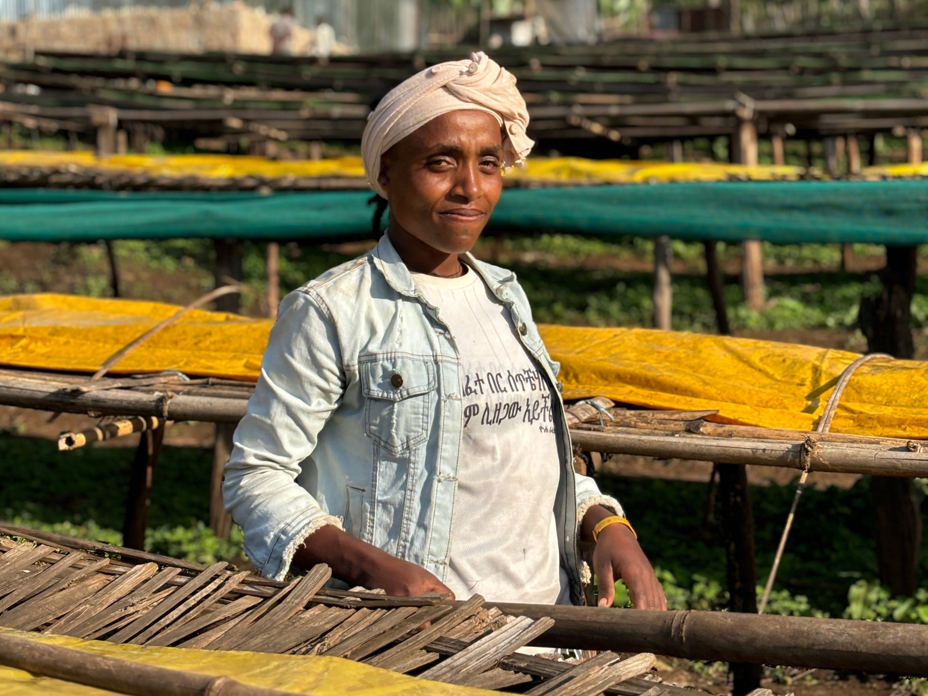 エチオピア イルガチェフェ アリーチャG1 ナチュラル 200g