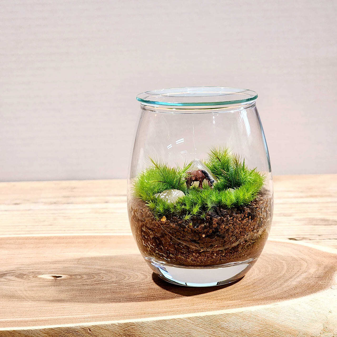 テラリウム作品 | 苔テラリウム専門店Feel The Garden