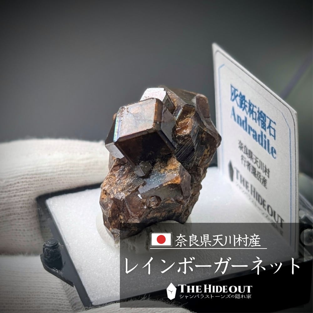 日本国産鉱物標本097 奈良県吉野郡天川村行者還岳レインボーガーネット マニア垂涎、N面ありの超美形結晶