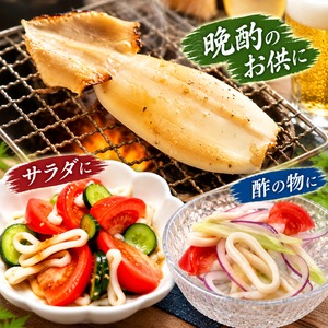 日本海産【ソフト食感】白身いか3尾入｜添加物不使用・サラダや炙りで