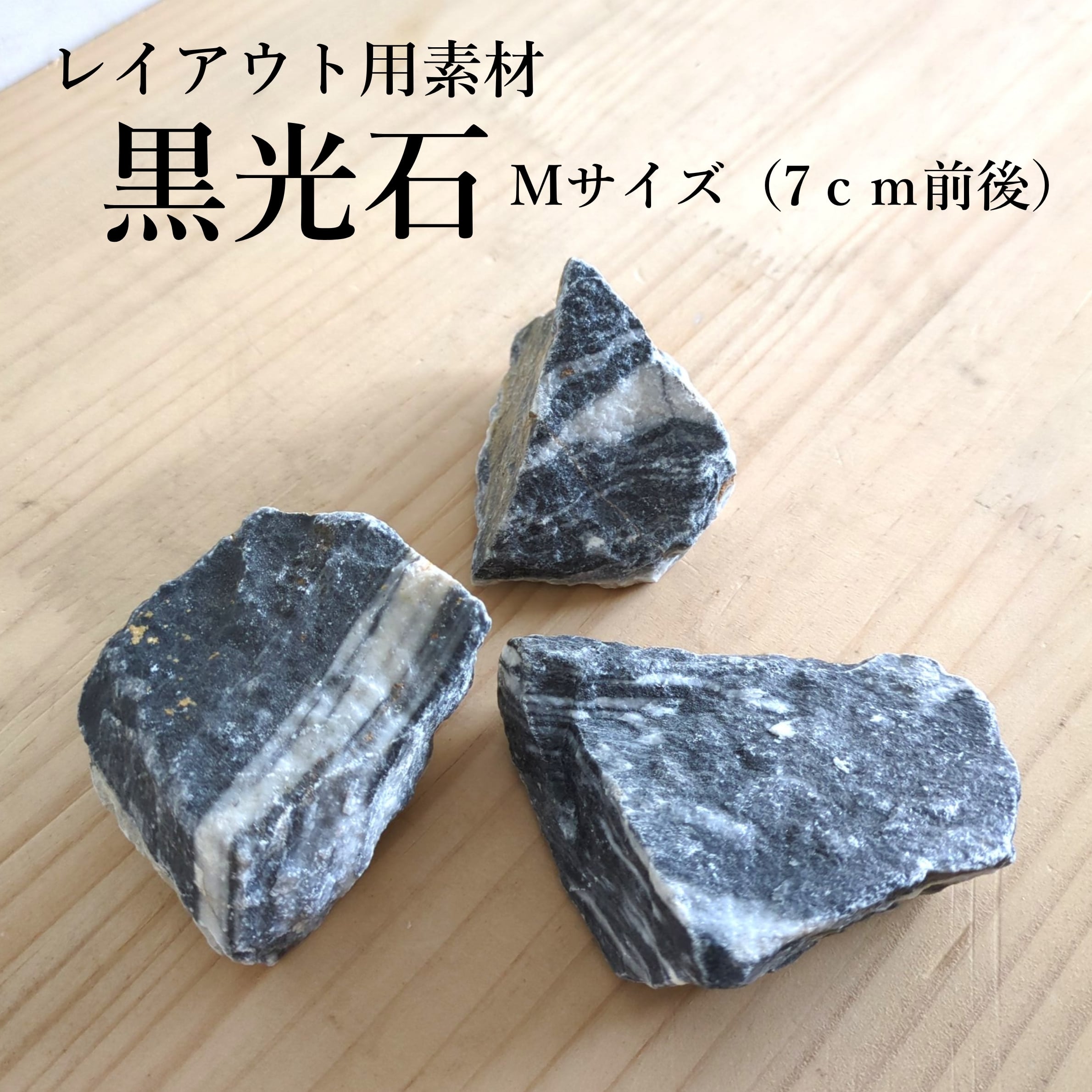 黒光石 Mサイズ(7㎝前後) 3個入り【テラリウムレイアウト用】