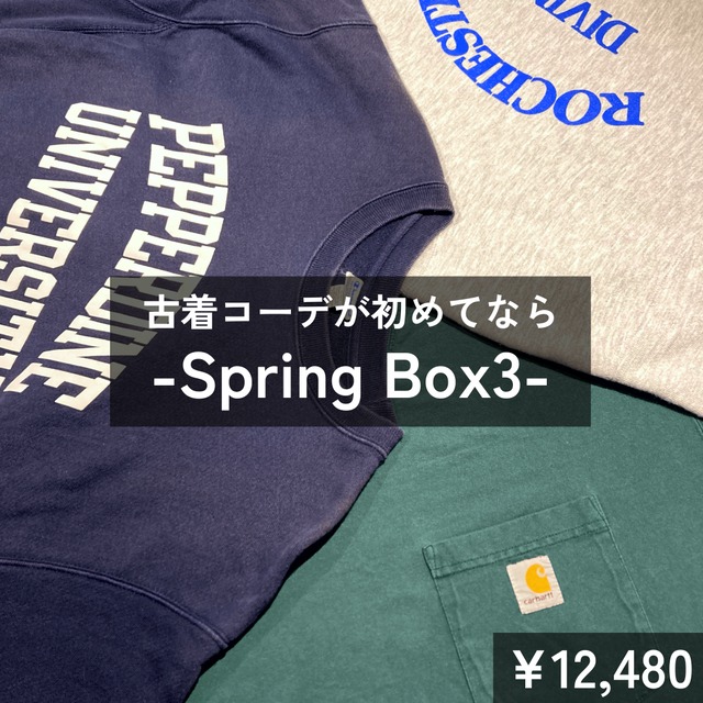 Spring Box 3