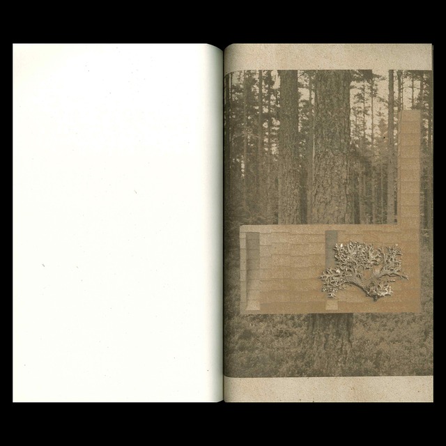 Lucas Dupuy: Formless Anxiety