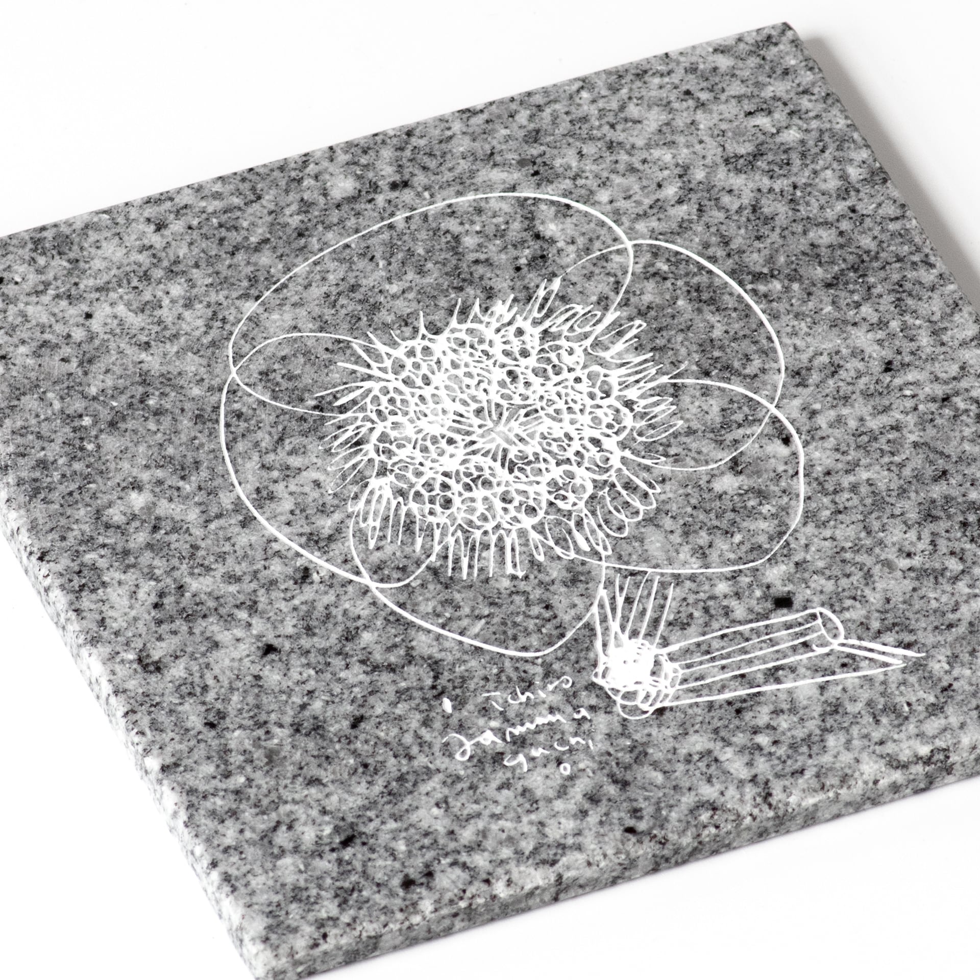 HANA / Ichiro Yamaguchi | aoishima store