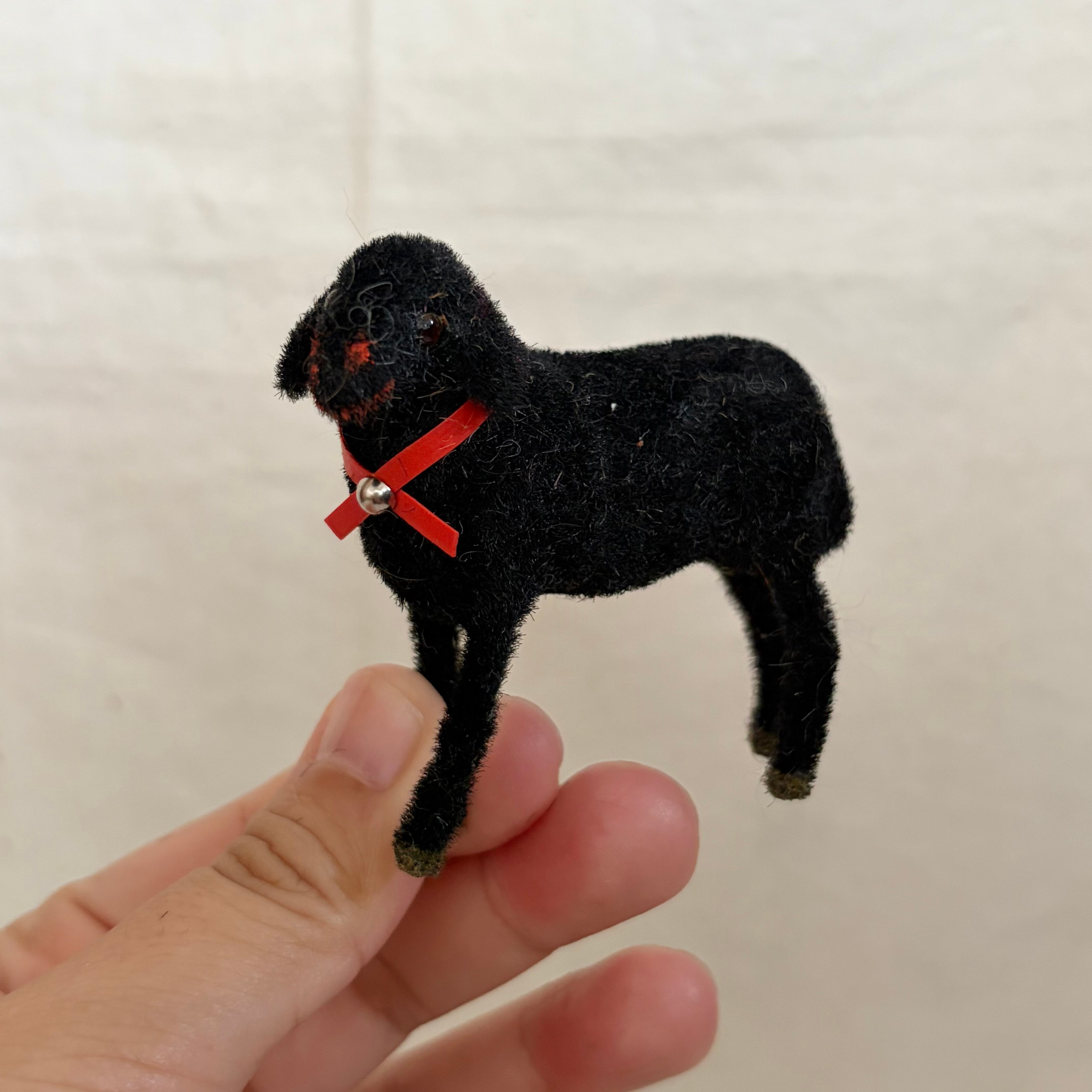 ワグナーの黒い羊