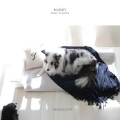 BUDDY DOG&CAT BED  WHITE　
