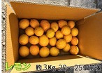 レモン　3kg