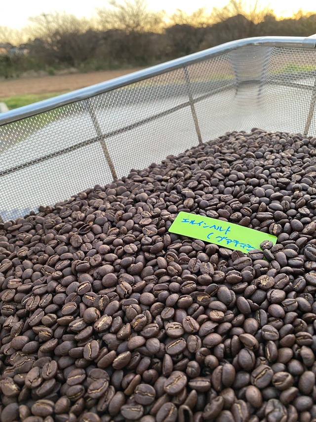 エルインヘルト　City Roast 100ｇ（グァテマラ）