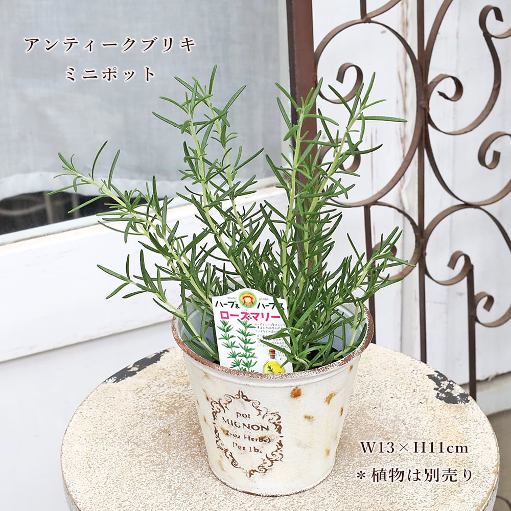 ガーデニング雑貨 | Gardening＆Flower サザンフィールド