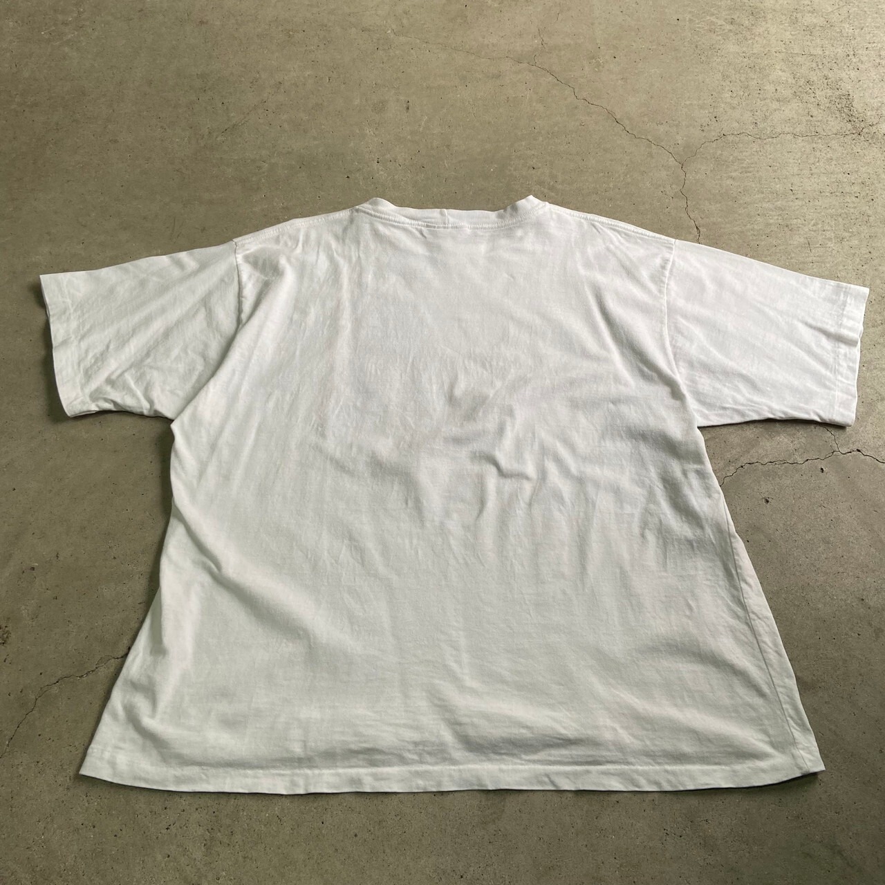 90年代 NORTHERN REFLECTIONS 野菜 アート プリント Tシャツ メンズXL 