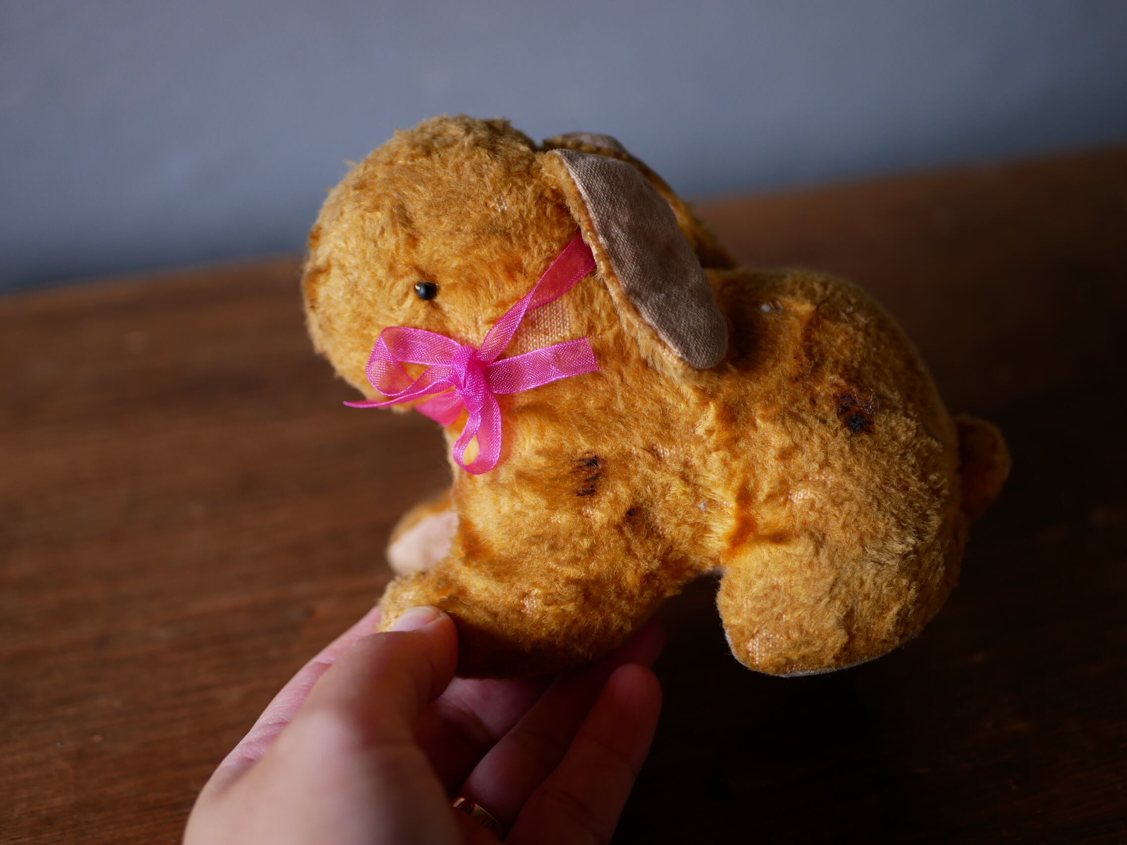 うさぎのぬいぐるみ。フランスアンティーク | フランス アンティーク