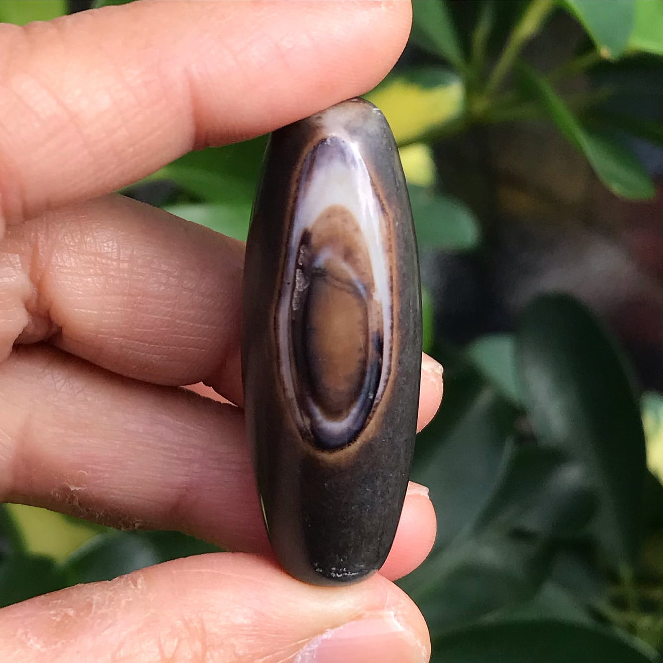 天眼天珠 天眼石 水晶の結晶入り 天珠 天然石 瑪瑙 アイアゲート | 虹石屋