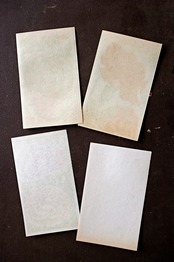 20s フランス 4set 膨満な花々と野菜たち 種子袋用ラベルv アンティーク