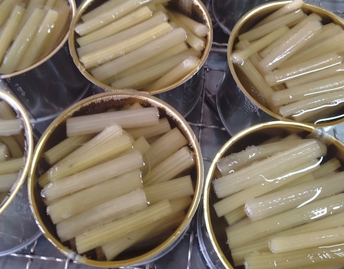 フキ水煮4号缶 3割引